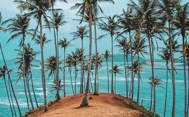 Beach Tropical