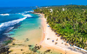 Golden Beaches