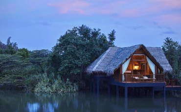 Luxury Honeymoon