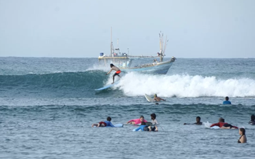 Surf Safari